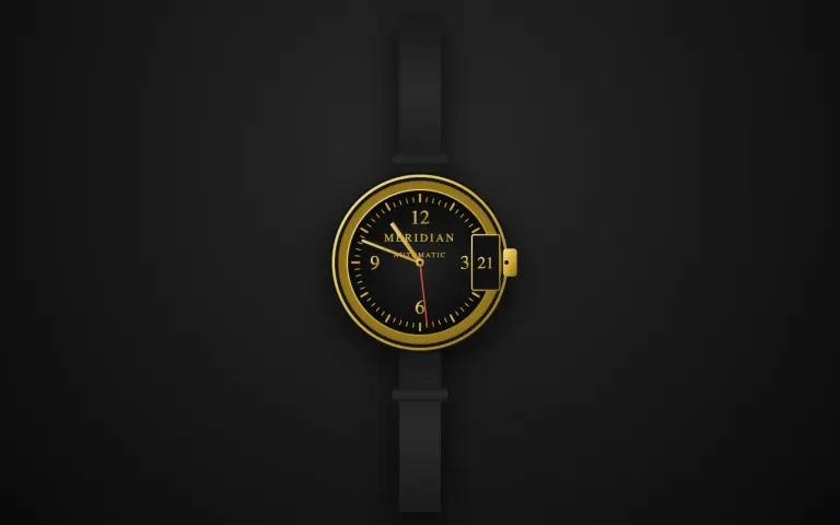 Flint: Wristwatch that shows the current time